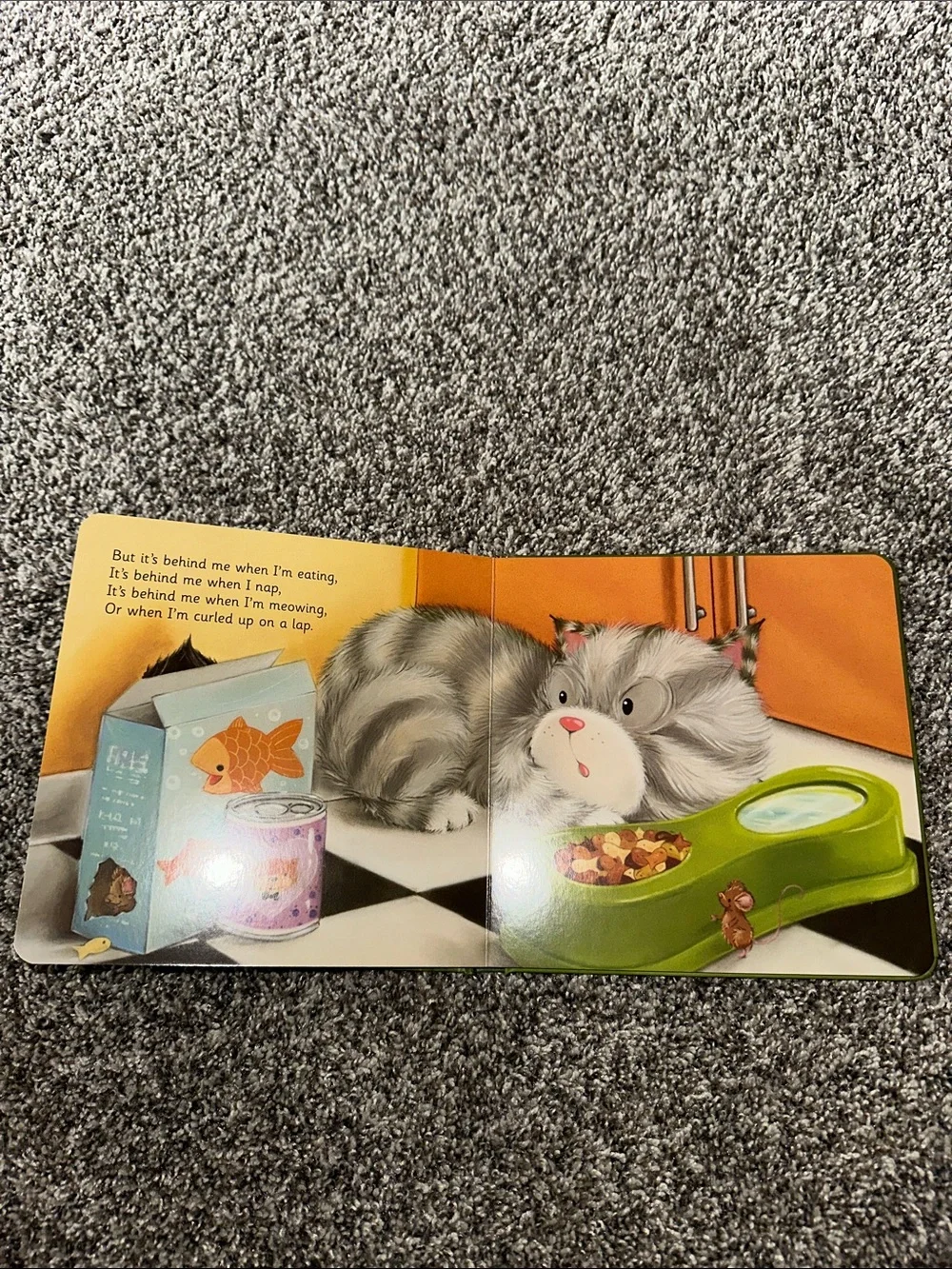 It's Following Me! Gray Kitten Board Book - Kids Learning Toy